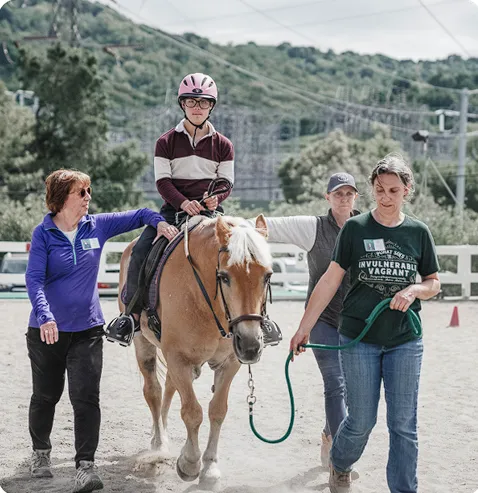 Equinoterapia